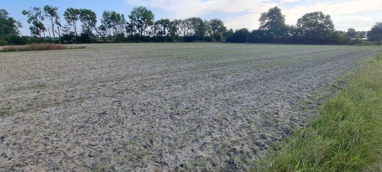 Działka budowlana Tuszyny. Zdjęcie 3