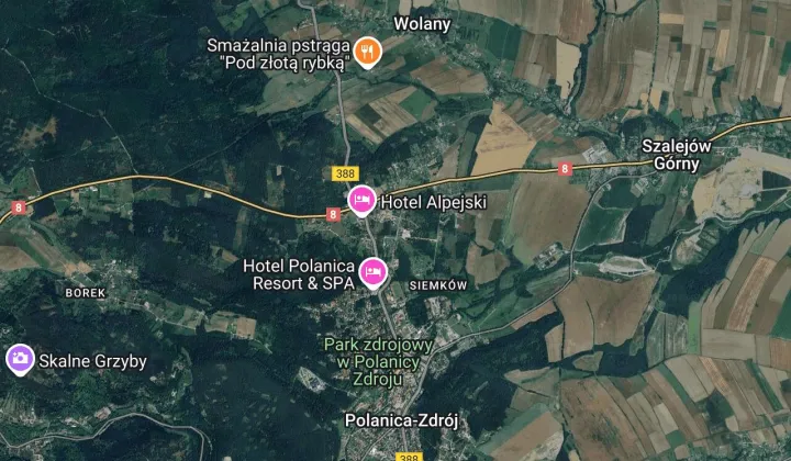 Działka rod Polanica-Zdrój, ul. Adama Mickiewicza