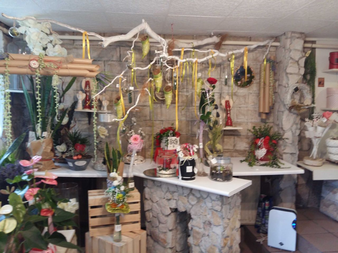 Lokal Piotrków Trybunalski, ul. Różana. Zdjęcie 1