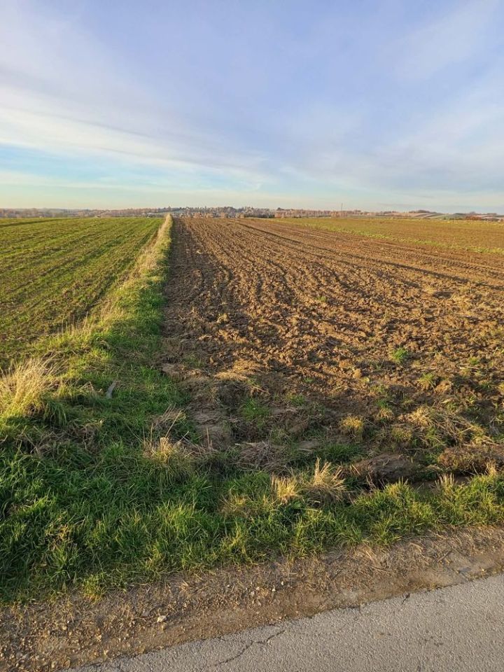 Działka rolna Trojanowice. Zdjęcie 3