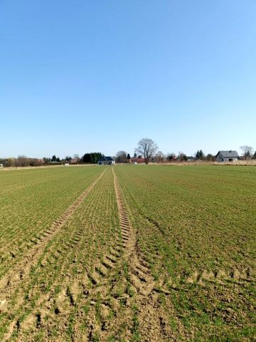 Działka budowlana Świerzowa Polska. Zdjęcie 4