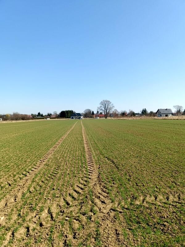 Działka budowlana Świerzowa Polska. Zdjęcie 4