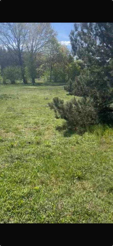 Działka rolno-budowlana Szczecinek Raciborki, ul. Sosnowa. Zdjęcie 5