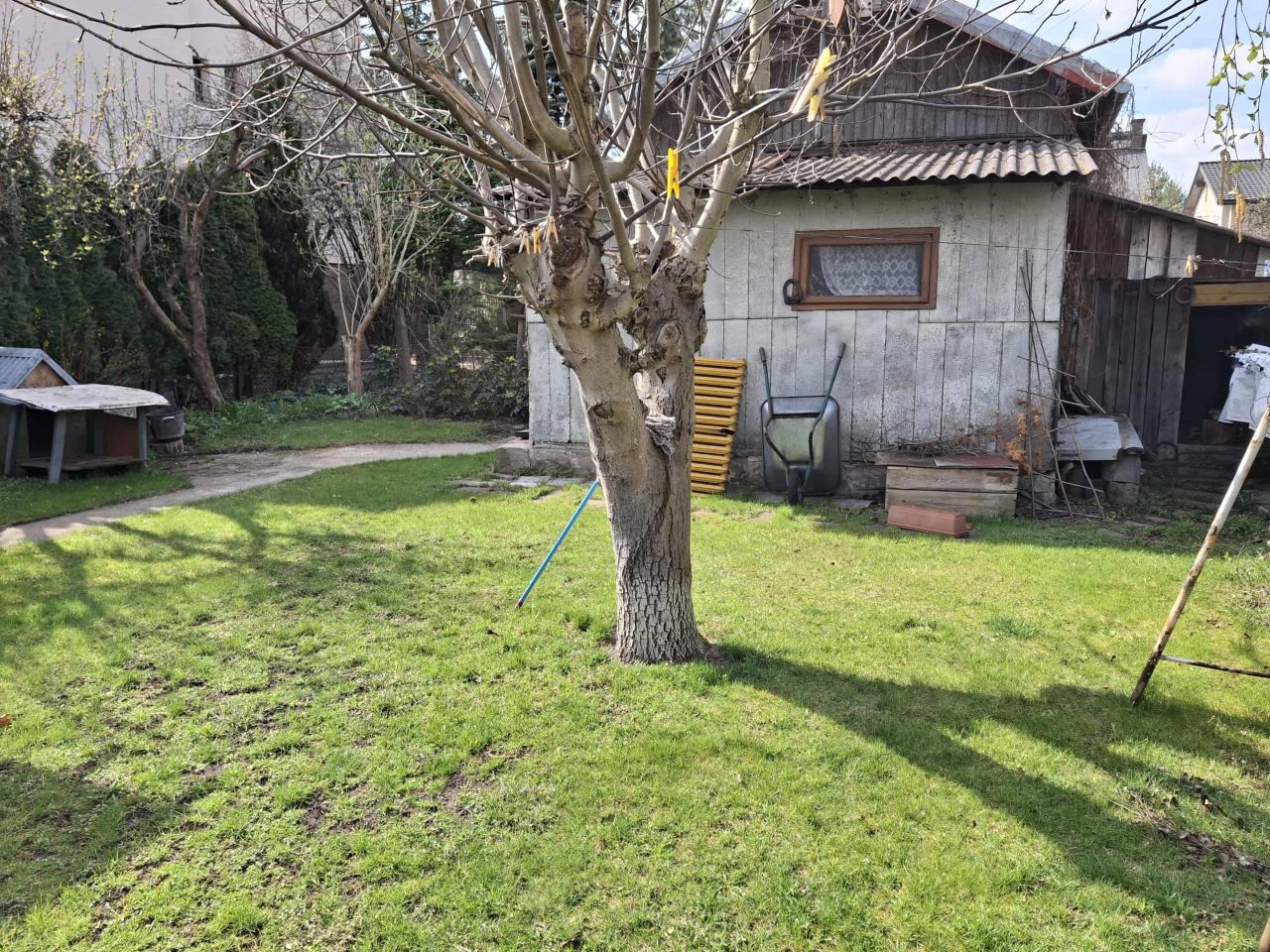 Działka budowlana Skierniewice Widok, ul. Północna. Zdjęcie 4