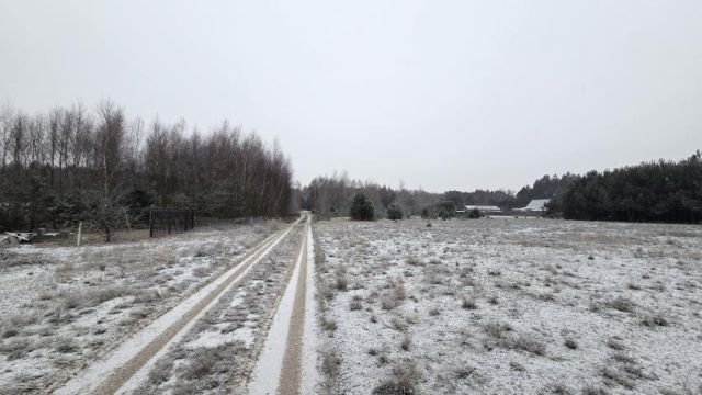 Działka rekreacyjna Osada-Wola. Zdjęcie 6