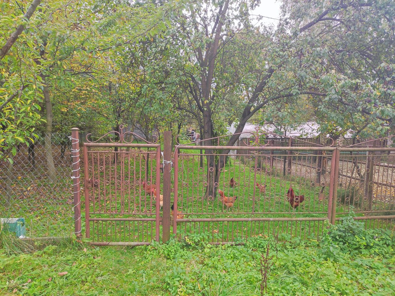 dom wolnostojący, 7 pokoi Kostrzeszyn Odrzywół. Zdjęcie 18