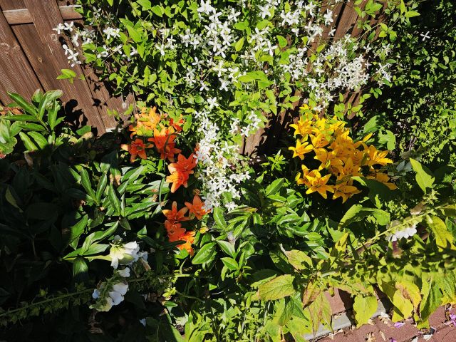 dom wolnostojący, 5 pokoi Borowa Góra, ul. Kameralna. Zdjęcie 27