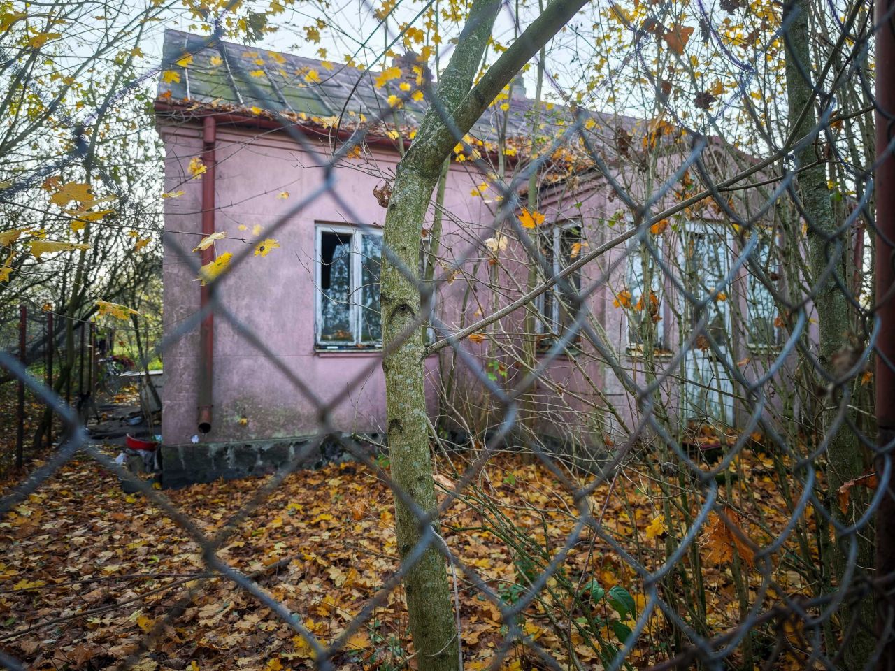 Działka siedliskowa Łęg Probostwo. Zdjęcie 2