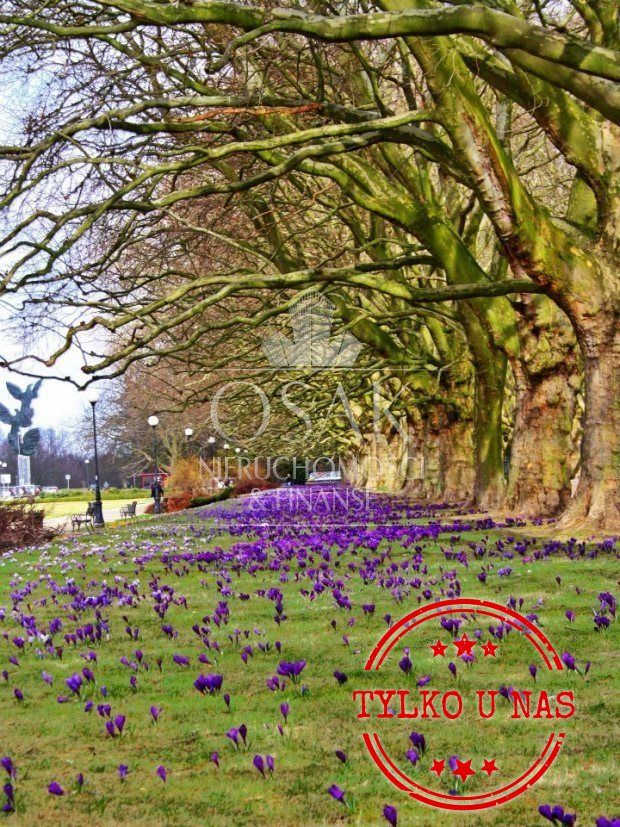 Mieszkanie 2-pokojowe Szczecin Centrum. Zdjęcie 1