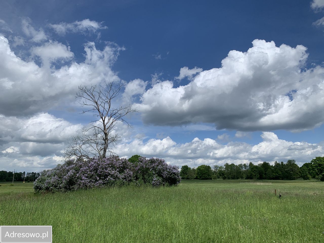 Działka budowlana Arciechów, ul. Dąbrowiecka. Zdjęcie 2