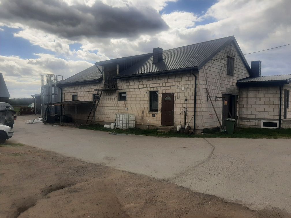 siedlisko, 8 pokoi Dąbie, Dąbie. Zdjęcie 6