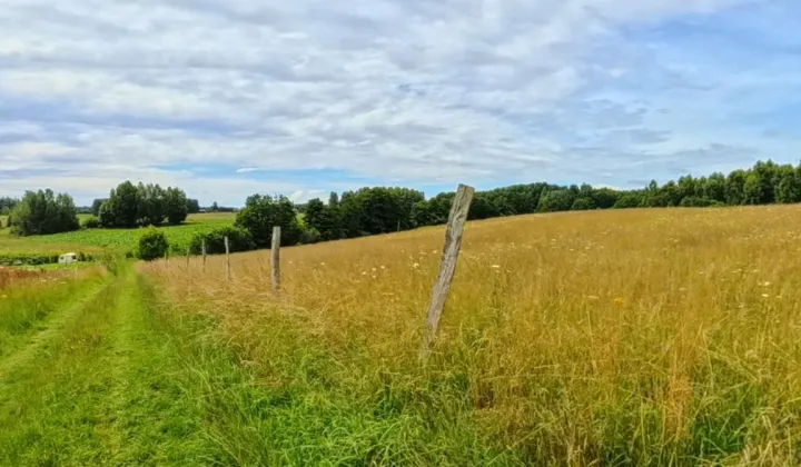 Działka budowlana Siemiany