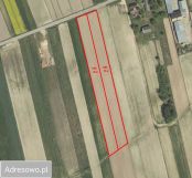 Działka budowlana Wolica-Kolonia. Zdjęcie 1