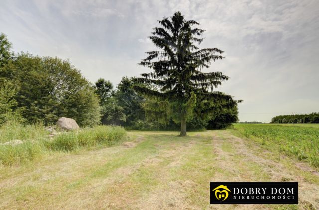 dom wolnostojący, 5 pokoi Sztabin. Zdjęcie 5