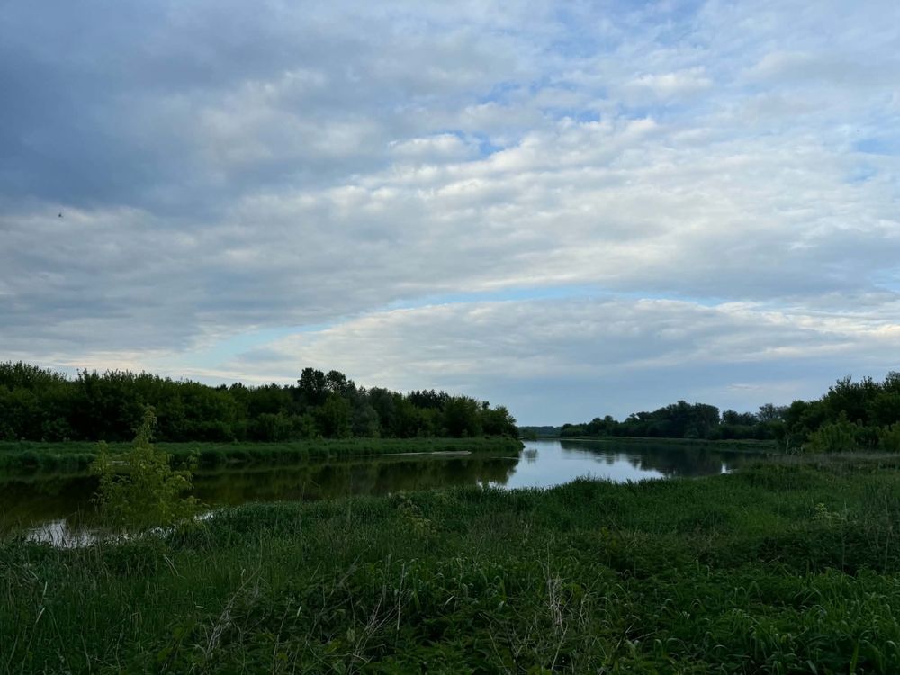 Działka rekreacyjna Mogielnica. Zdjęcie 7