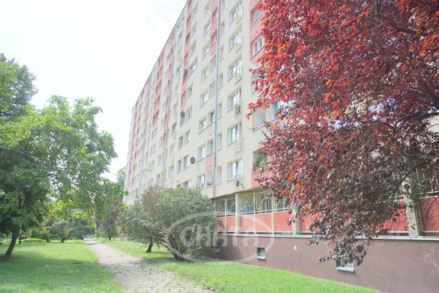 Mieszkanie 3-pokojowe Wrocław Borek, pl. Powstańców Śląskich. Zdjęcie 20