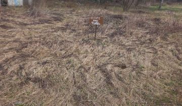 Działka rod Czeladź Piaski, ul. Stefana Batorego