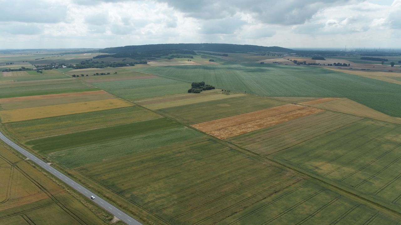 Działka inwestycyjna Ligota Dolna. Zdjęcie 7