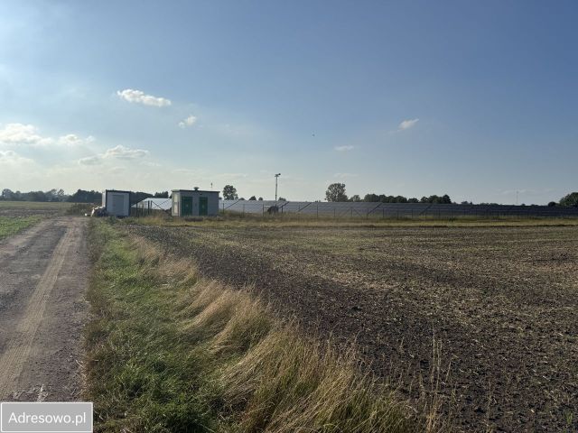 Działka rolno-budowlana Jedlno Drugie. Zdjęcie 6