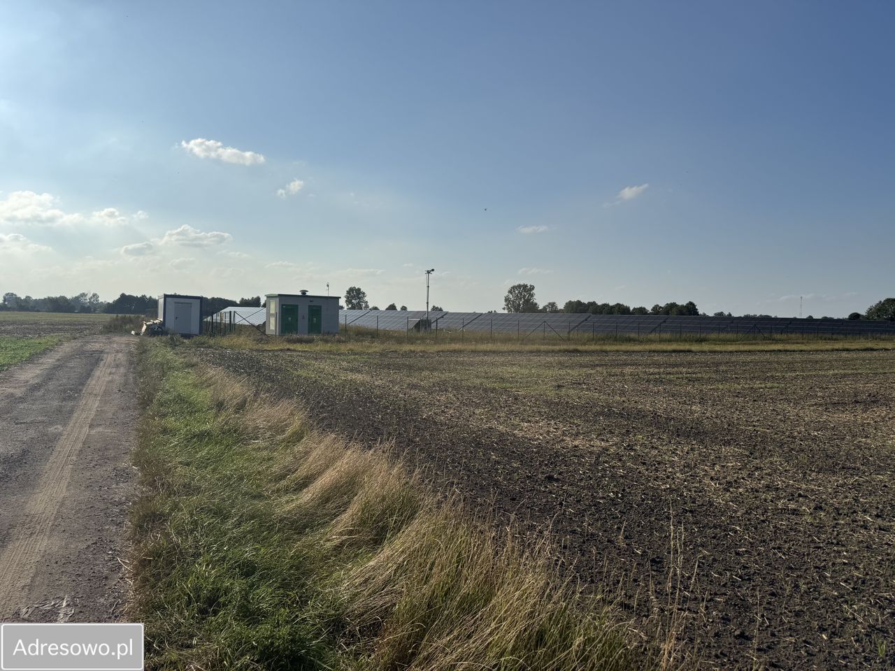 Działka rolno-budowlana Jedlno Drugie. Zdjęcie 6