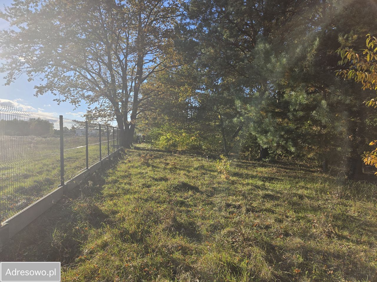 Działka budowlana Bechcice-Wieś. Zdjęcie 3