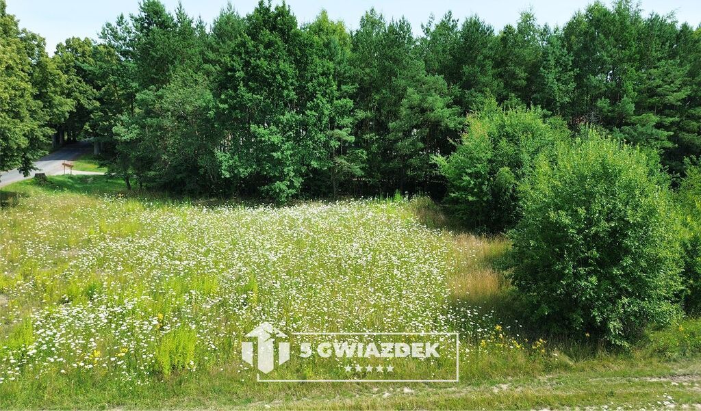 Działka rekreacyjna Silnowo. Zdjęcie 14