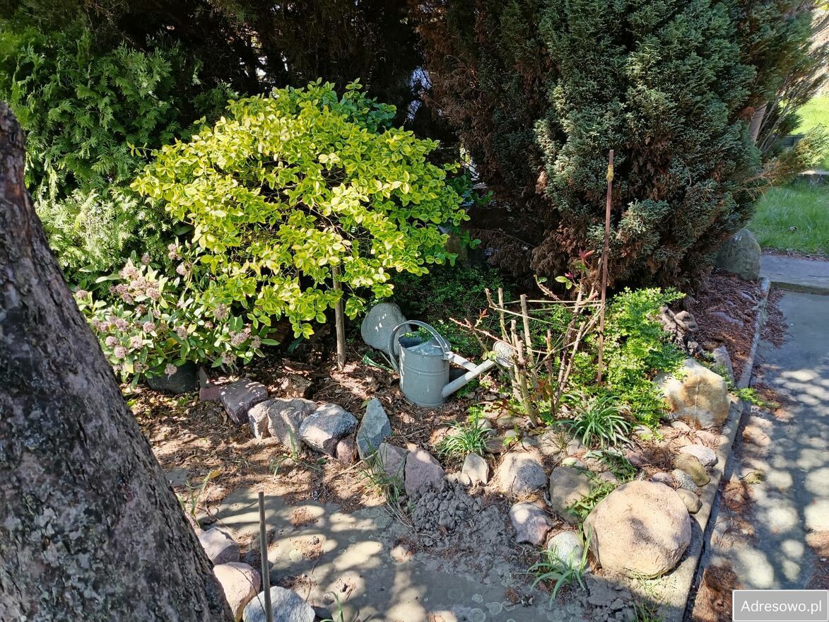 Działka rod Szczecin, ul. Ostrowska. Zdjęcie 9