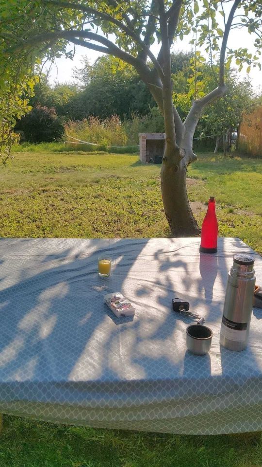 Działka rod Świdnica, ul. Stanisława Staszica. Zdjęcie 4