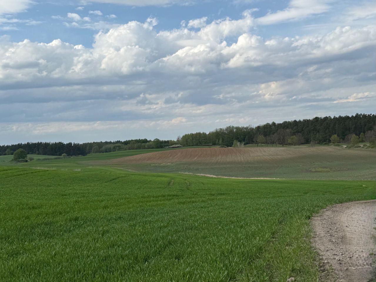 Działka rolno-budowlana Mikołajki Pomorskie. Zdjęcie 2