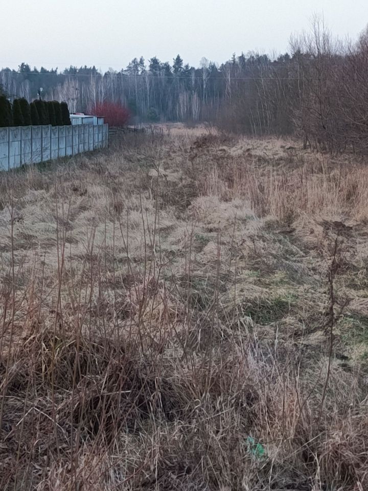 Działka rolna Marianów. Zdjęcie 5