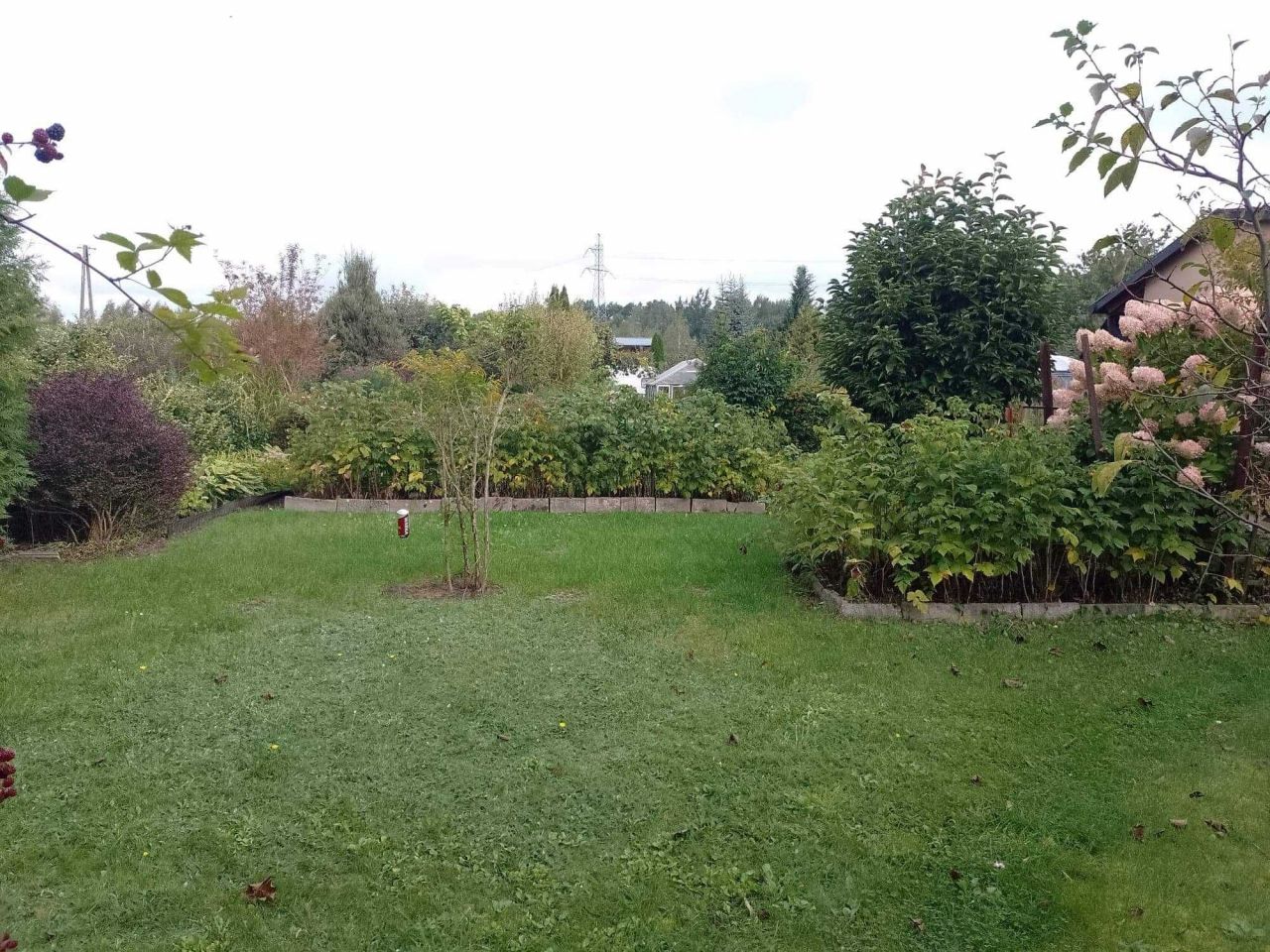 Działka rod Mokra Prawa. Zdjęcie 3