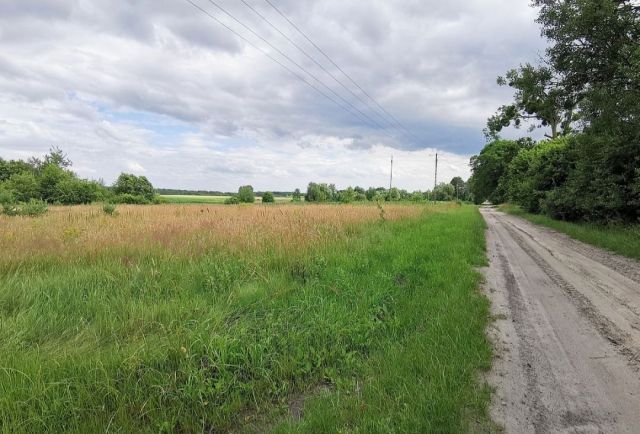 Działka rolna Malinówka. Zdjęcie 1