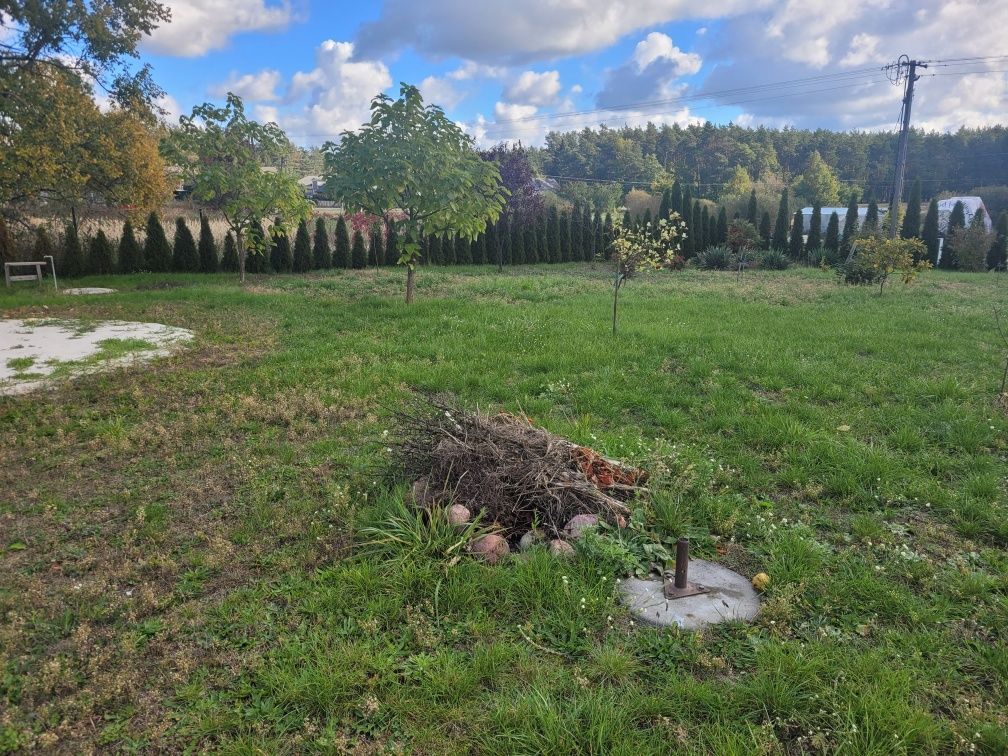 Działka budowlana Sułoszyn. Zdjęcie 2