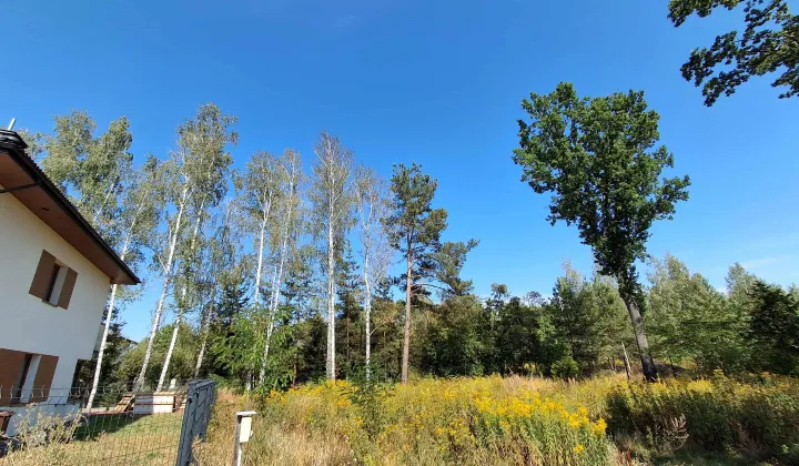 Działka budowlana Sulejówek, ul. Sasankowa