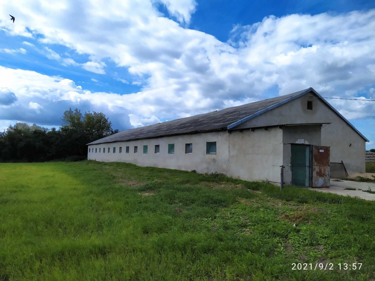 Działka siedliskowa Kaszewy Dworne. Zdjęcie 6