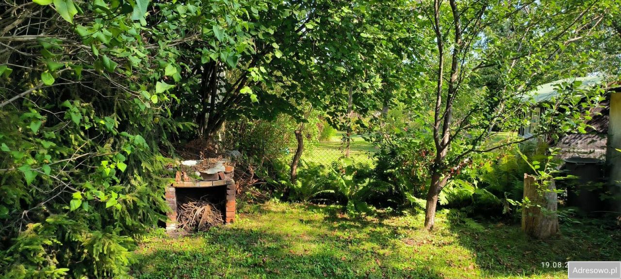 Działka rod Gliwice Wójtowa Wieś, ul. Ku Dołom. Zdjęcie 6