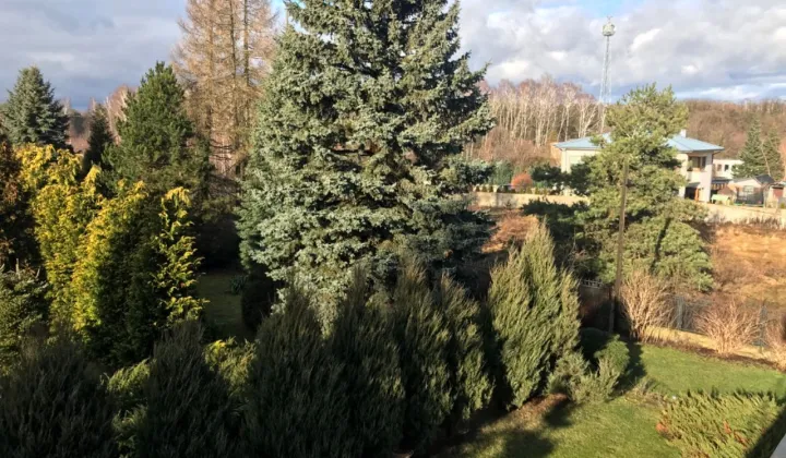 Działka budowlana Łódź Widzew, ul. Wieńcowa