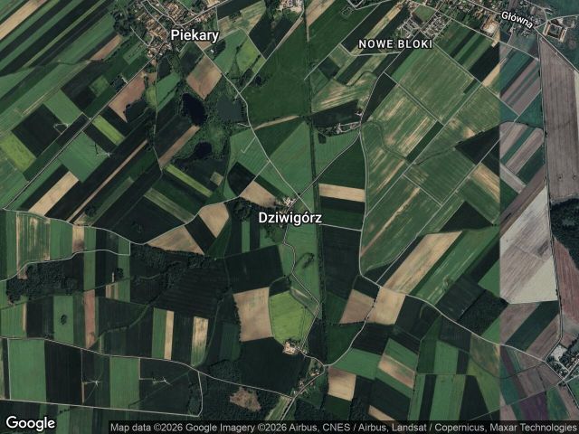 Działka budowlana Dziwigórz. Zdjęcie 1