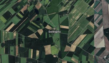 Działka budowlana Dziwigórz