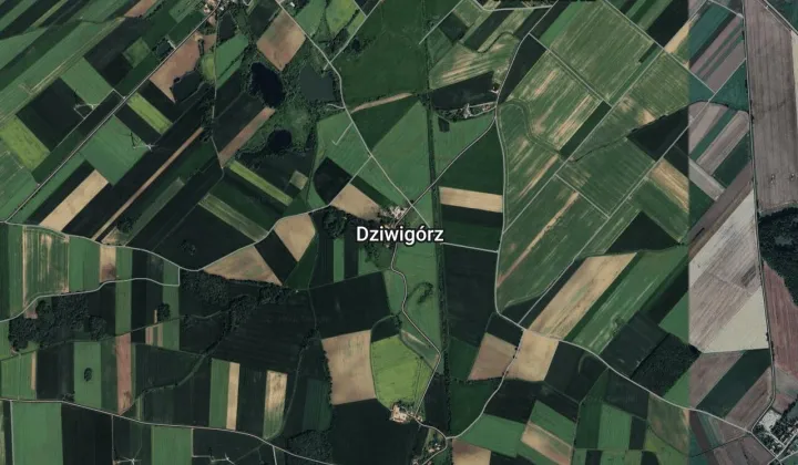 Działka budowlana Dziwigórz