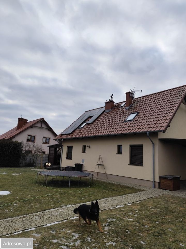 dom wolnostojący, 5 pokoi Brzezie k. Sulechowa, ul. Aleksandra Orłowskiego. Zdjęcie 11