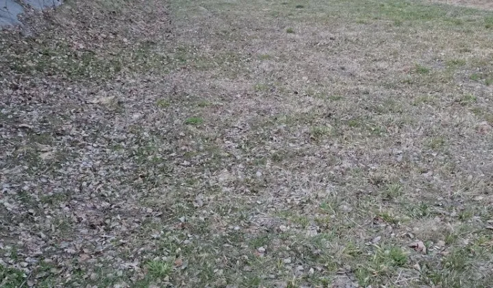 Działka rekreacyjna Tyczyn