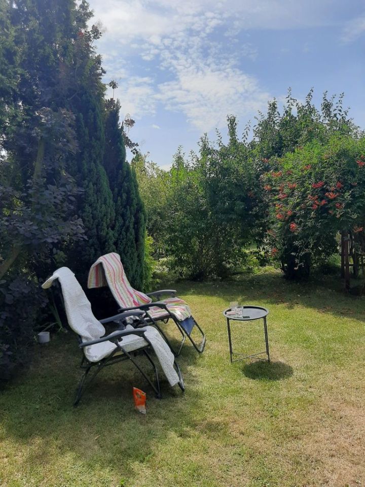 Działka rod Sochaczew. Zdjęcie 6