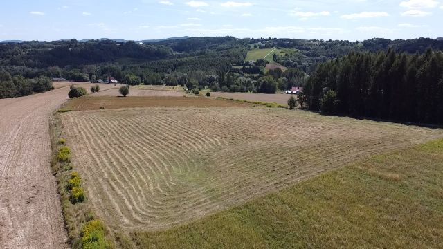Działka budowlana Tuchów, - bez pośredników. Zdjęcie 1
