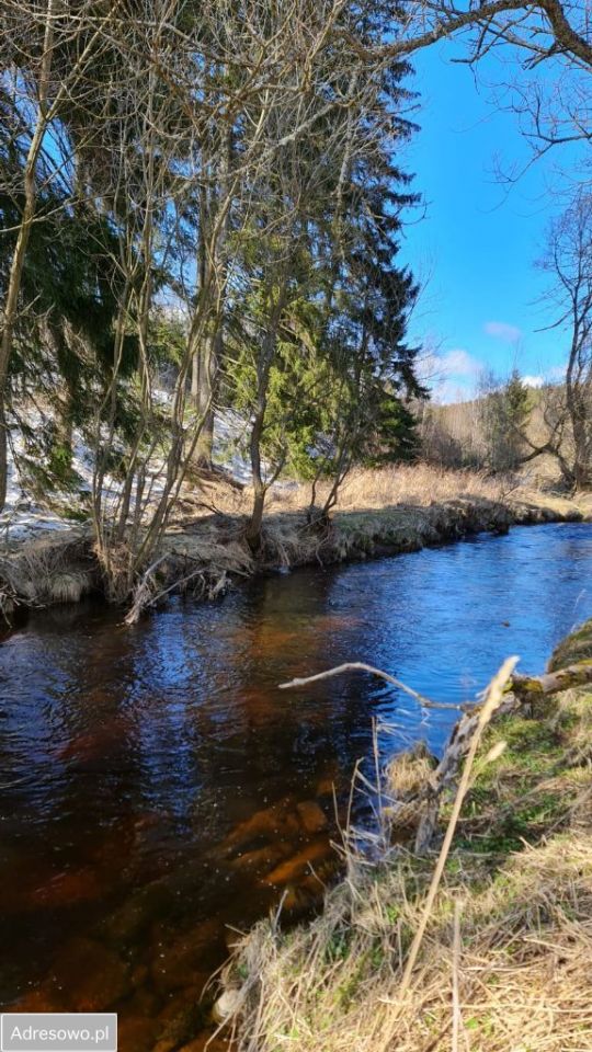 Działka rekreacyjna Piaskowice. Zdjęcie 6