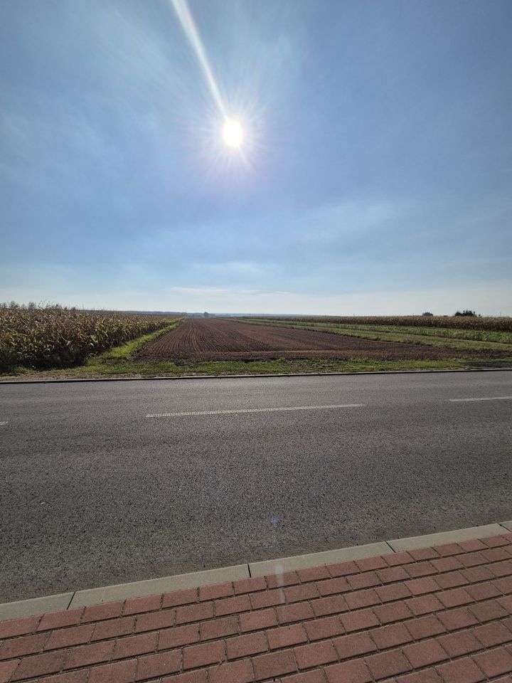 Działka rolno-budowlana Dalachów. Zdjęcie 6