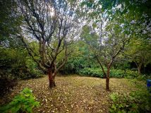 Działka rod Kraków Grzegórzki, ul. Do Przystani. Zdjęcie 3