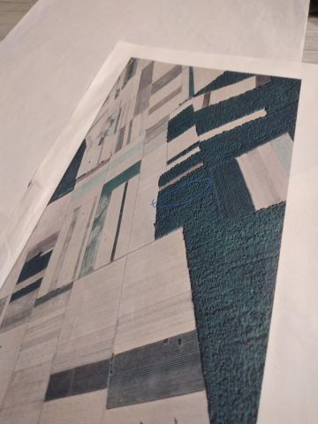 Działka leśna Władysławów. Zdjęcie 1