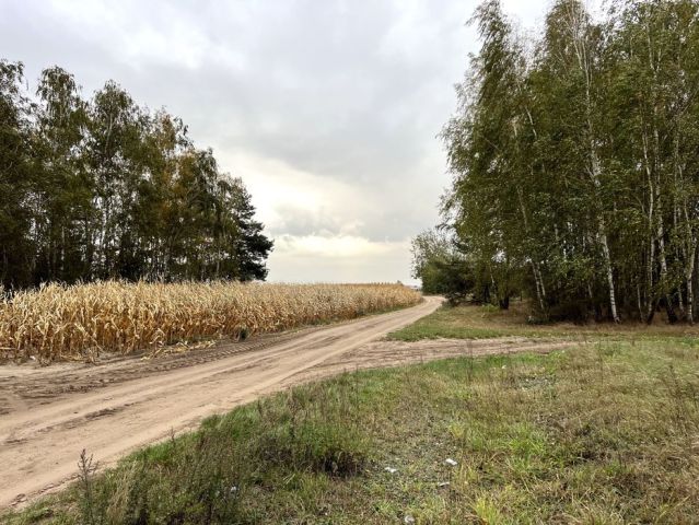 Działka budowlana Olszanka. Zdjęcie 1