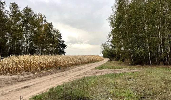 Działka budowlana Olszanka